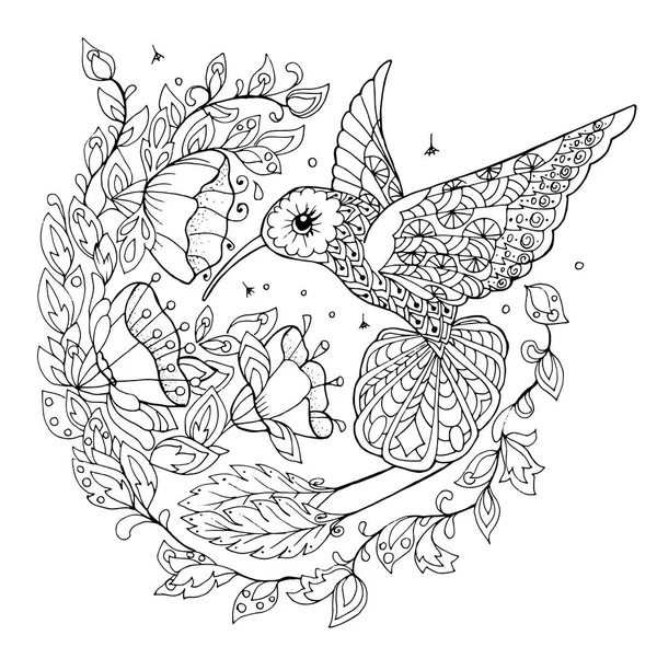 Hummingbird livro para colorir — Vetor de Stock