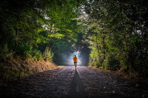 Человек бежит в лесу на рассвете — стоковое фото