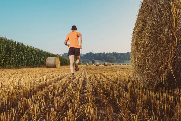 Homem correndo em um campo de trigo no país — Fotografia de Stock