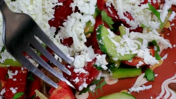 Shopska salata yemek makro — Stok video