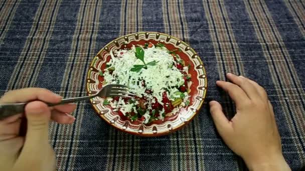 Shopska salata yemek — Stok video