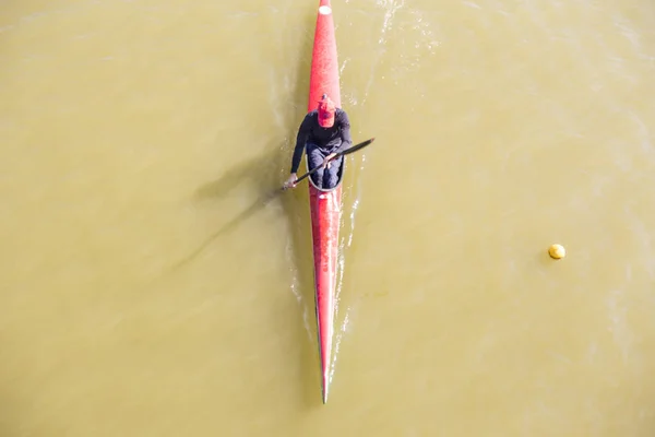 Aerial view of rowers — Stock Photo, Image