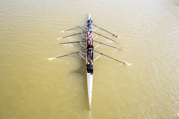 Aerial view of rowers — Stock Photo, Image