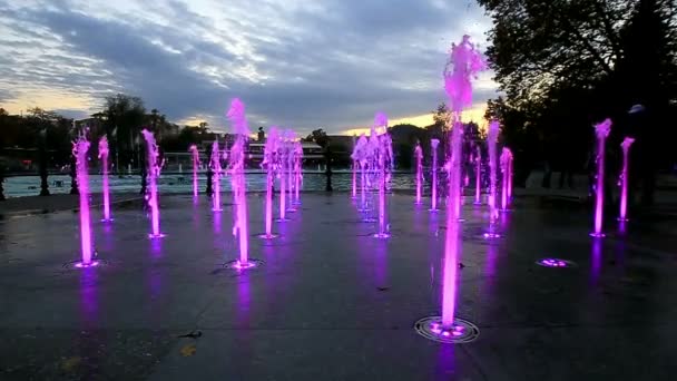 Fontana illuminata con colori arcobaleno — Video Stock