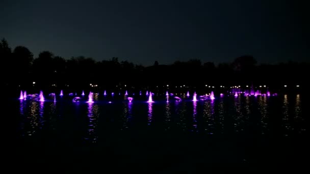 Colorful fountains at night — Stock Video