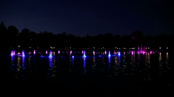 Kleurrijke fonteinen bij nacht — Stockvideo