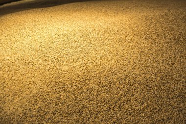 Arpa buğday büyük yığın