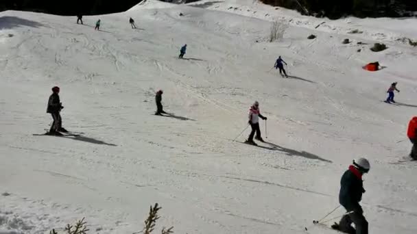 Pessoas esquiando em Pamporovo ski resot na Bulgária — Vídeo de Stock