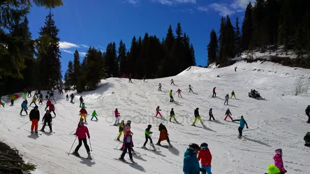 Люди катаются на лыжах в традиционной болгарской одежде . — стоковое видео
