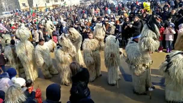 เทศกาลคุคีรีในเพนนิค ประเทศบัลแกเรีย — วีดีโอสต็อก