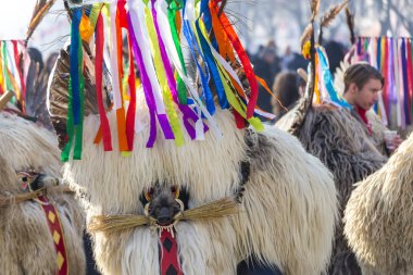 Kukeri Festivali Pernik, Bulgaristan