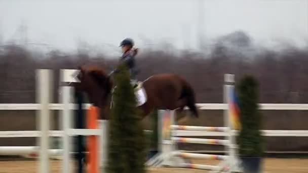 Course d'obstacles à cheval et parkour , — Video