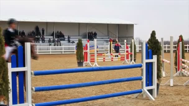 Curso de obstáculos para cavalos e parkour , — Vídeo de Stock