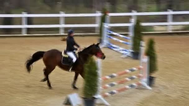 Vista de ângulo alto de um salto de demonstração de cavalo e parkour — Vídeo de Stock