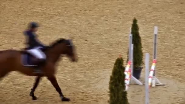 Vue en grand angle d'un cheval sautant et parkour , — Video