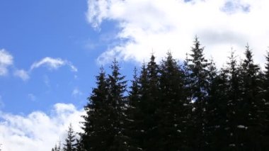 Ağaçları ile arka planda hareketli bulutlar