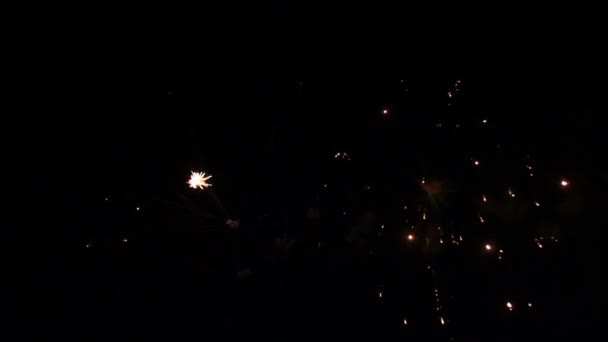 Fuochi d'artificio lenti e revers — Video Stock