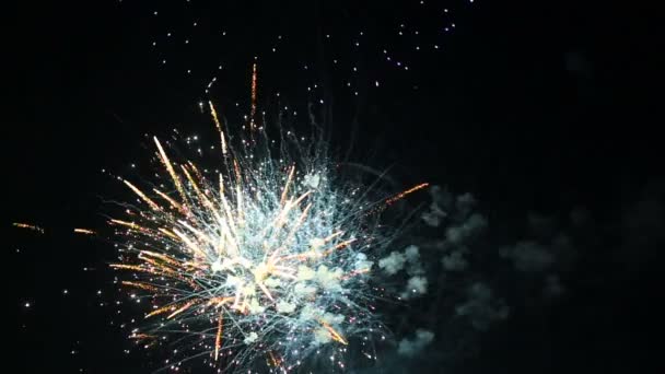 Tűzijáték lejátszása visszafelé — Stock videók
