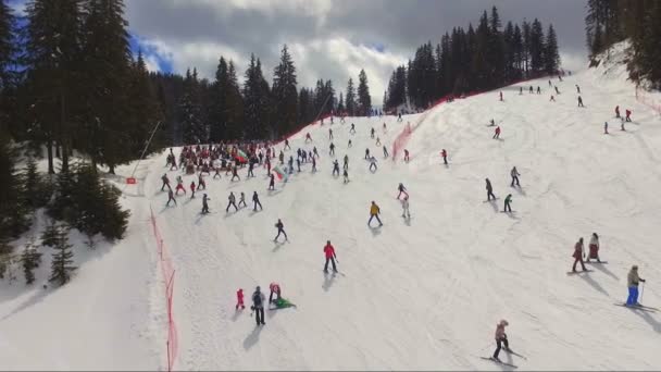 Лыжный спорт с болгарским национальным флагом — стоковое видео