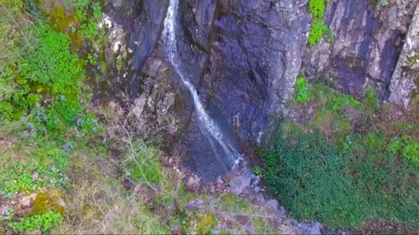 Aerial view of a small waterfall — Stock Video