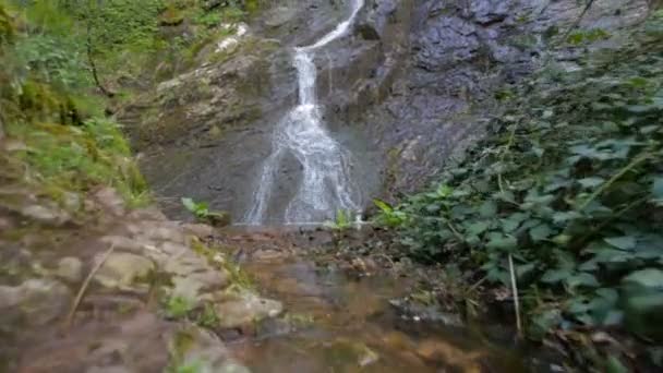 Petite cascade avec beaucoup de végétation 