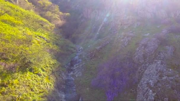 Luchtfoto van een kleine waterval — Stockvideo