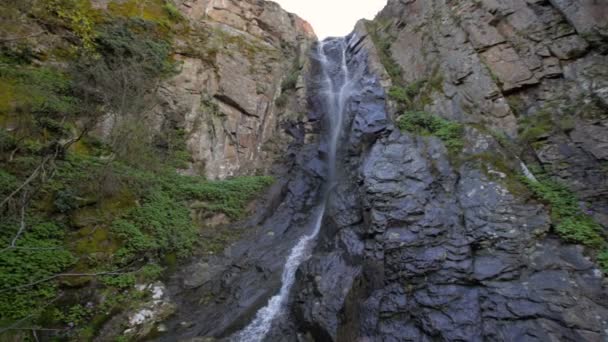 Pequeña cascada con mucha vegetación — Vídeos de Stock