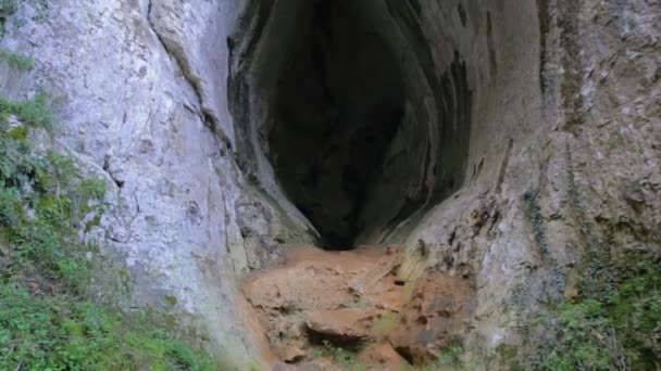 Большая пещера с удивительными цветами — стоковое видео