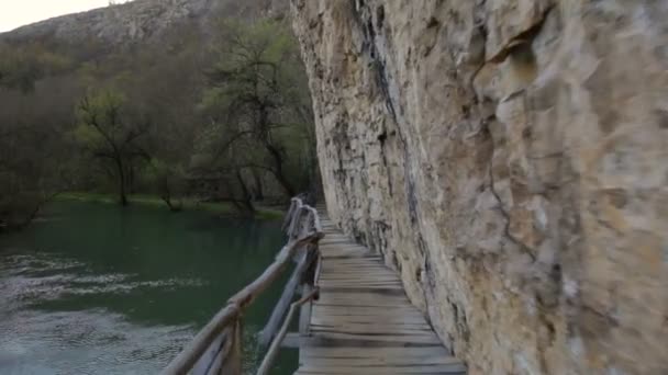 Miedo y peligroso puente de madera sobre un río . — Vídeo de stock