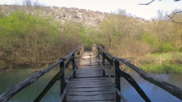 Caminando sobre un pequeño puente de madera — Vídeos de Stock