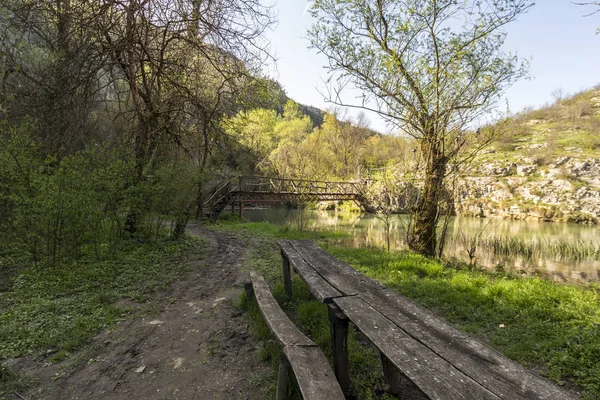 Banco largo y mesa en el bosque — Foto de Stock