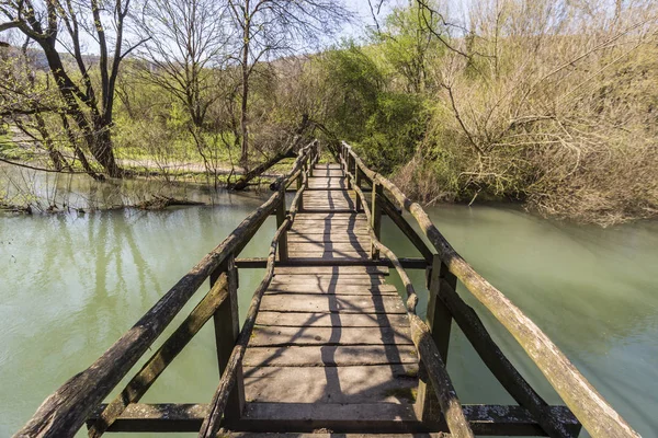 Jembatan kayu kecil di jalur eko — Stok Foto