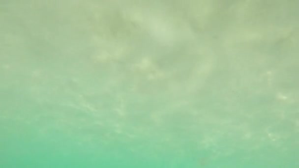 Underwater View Person Walking Swimming Sea — Stockvideo