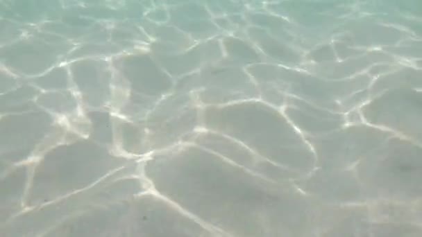 Monter les vagues à venir et plonger sous l'eau pour voir les vagues et la lumière du soleil 