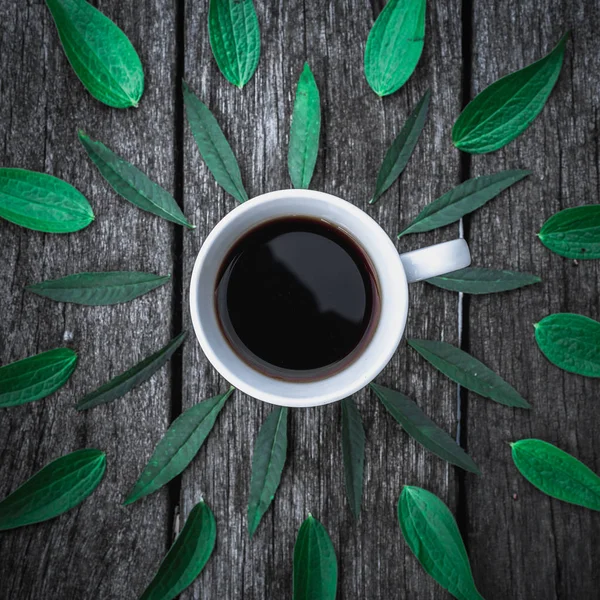 Tasse à café sur fond de feuilles vertes . — Photo