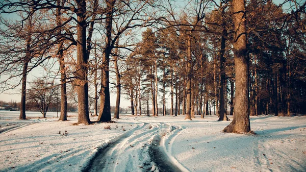 Winterlandschap - frosty bos in de zonnige avond. Rustige winter natuur in zonlicht. Prachtige winterlandschap bij zonsondergang met de mist en sneeuw Stockafbeelding