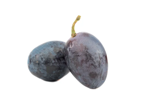 Bayas uvas azules — Foto de Stock