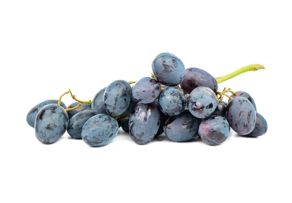 Bouquet de raisins bleus — Photo