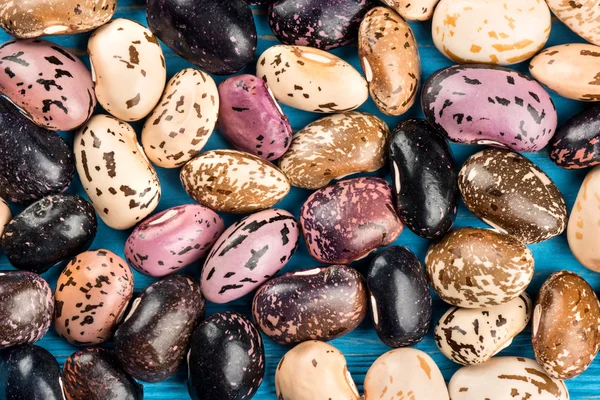 Colorful kidney bean — Stock Photo, Image