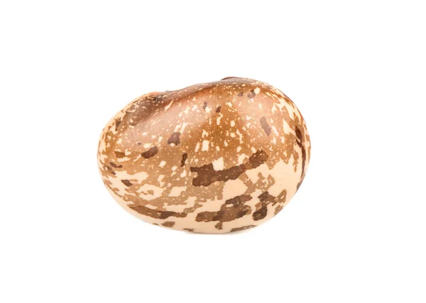 Kidney bean isolated — Stock Photo, Image