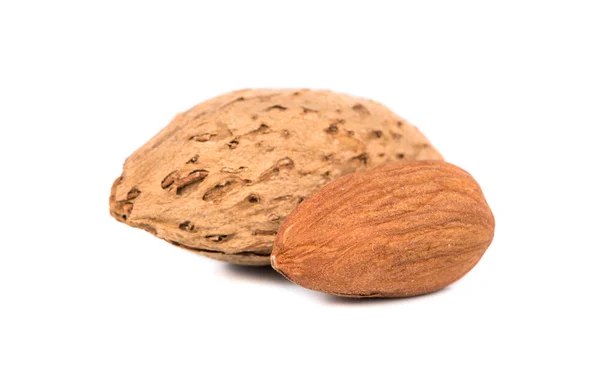 Nuts almond — Stock Photo, Image