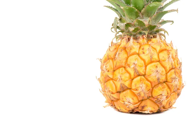 Mini fruit pineapple — Stock Photo, Image