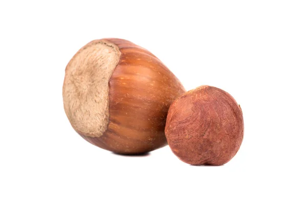 Сырой лесной орех изолирован — стоковое фото