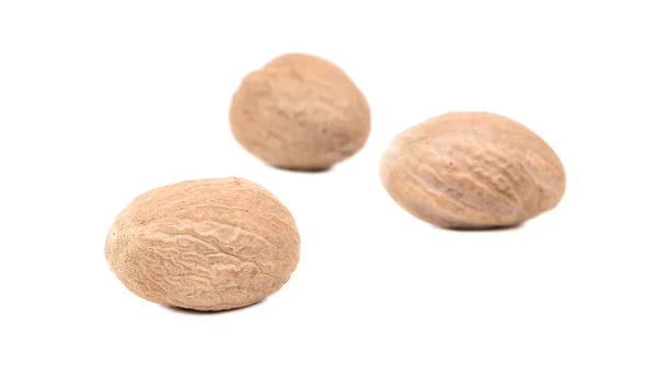 Три мускатного ореха. — стоковое фото
