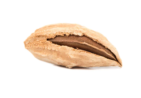Uzbek almonds in shell — Stock Photo, Image
