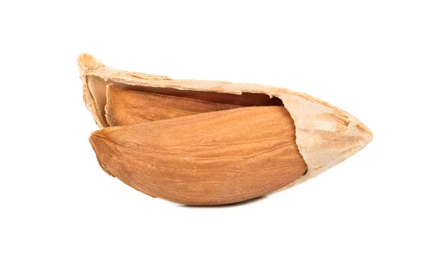 Uzbek almonds in shell — Stock Photo, Image