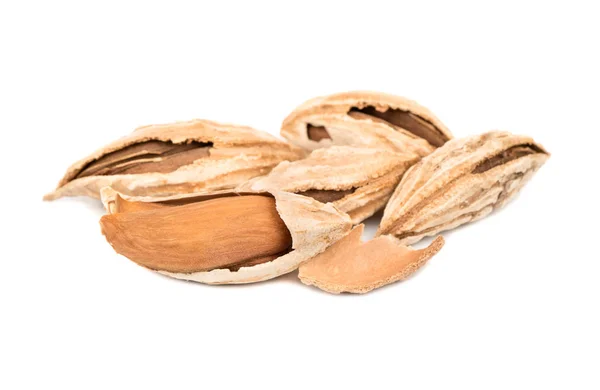 Uzbek almonds in shell — Stock Photo, Image