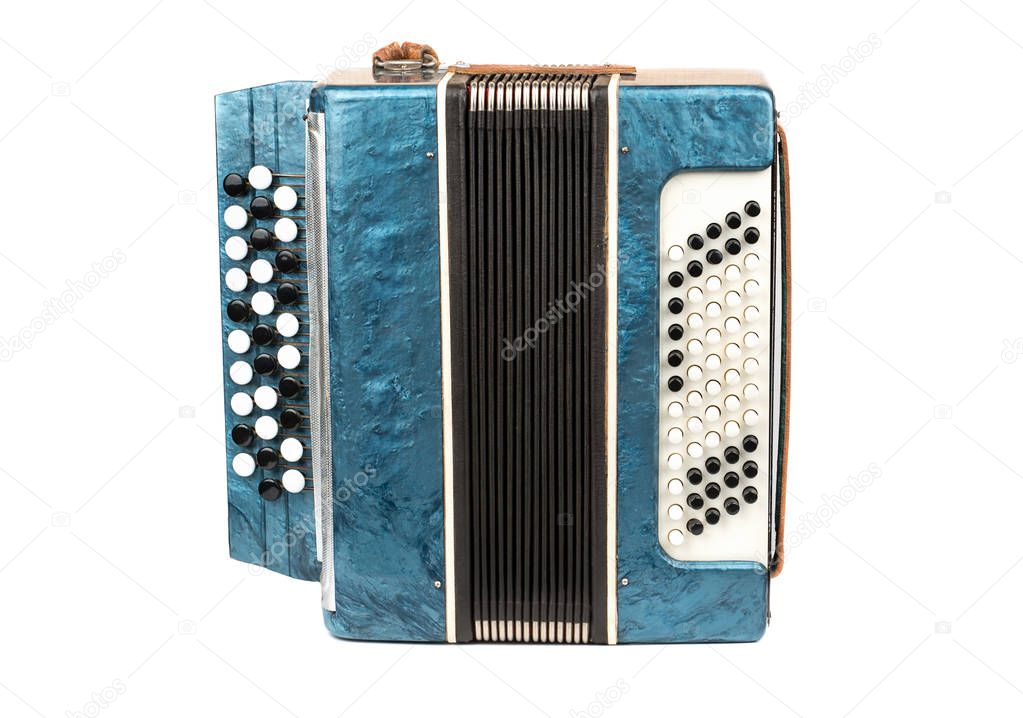 Musical instrument bayan accordion
