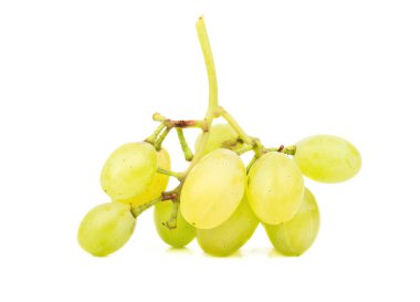 Şube Yeşil üzüm
