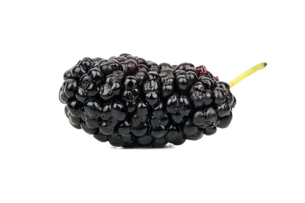 Black mulberry — Stock Photo, Image
